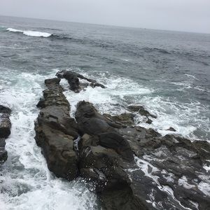 Meet your Posher, Janice